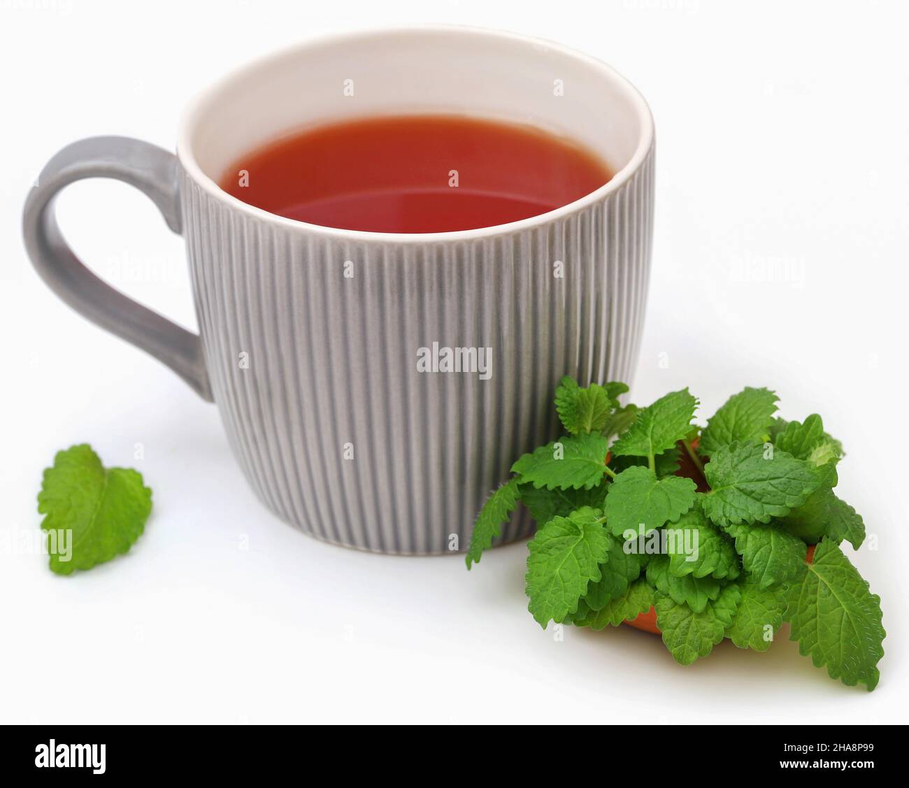 Foglie di balsamo al limone con tè alle erbe in una tazza su sfondo bianco Foto Stock