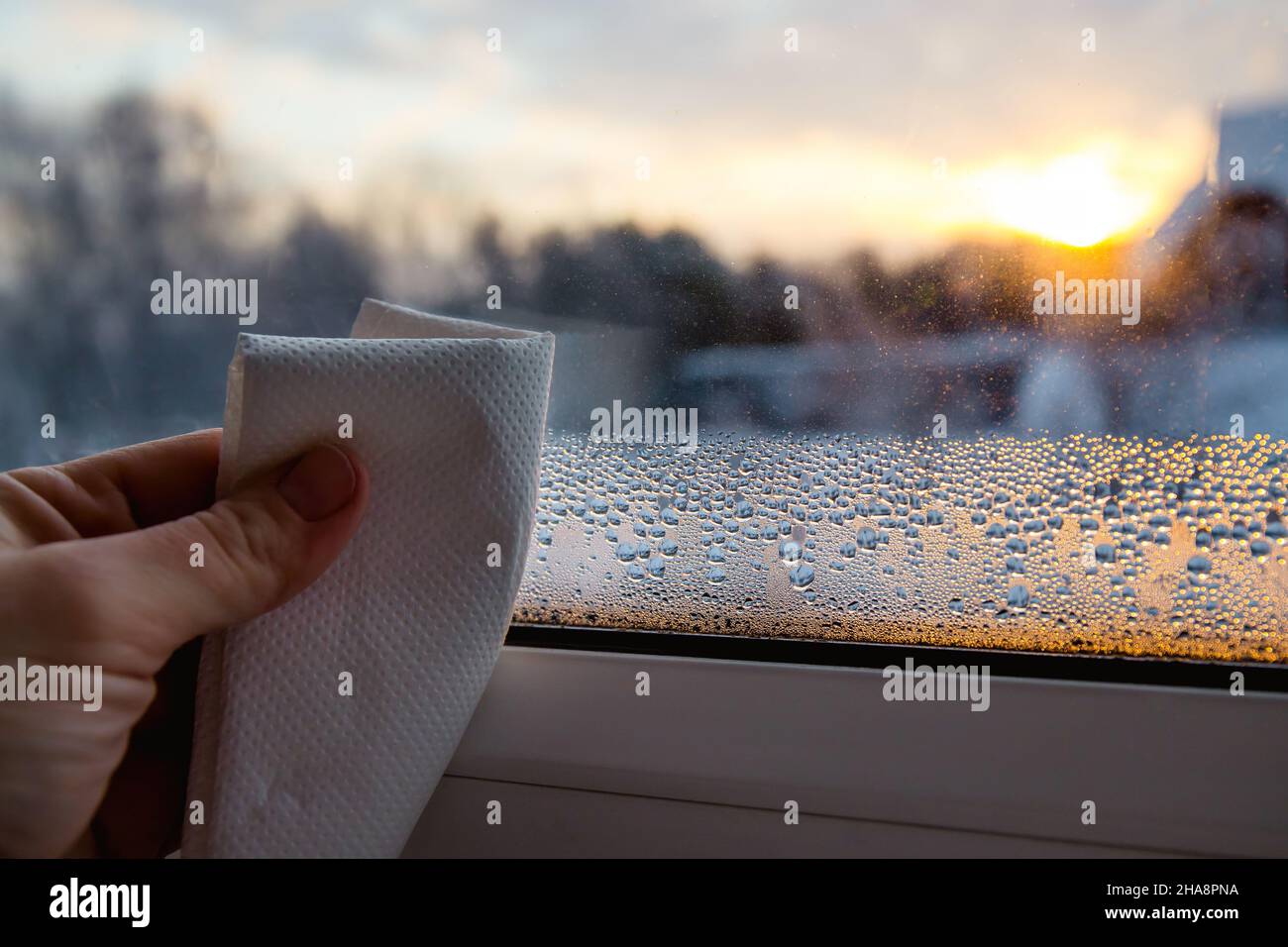 Vista ravvicinata della mano della persona utilizzando un panno di carta, asciugando le gocce di condensa bagnata dalla finestra di vetro nella fredda mattinata invernale all'alba. Foto Stock