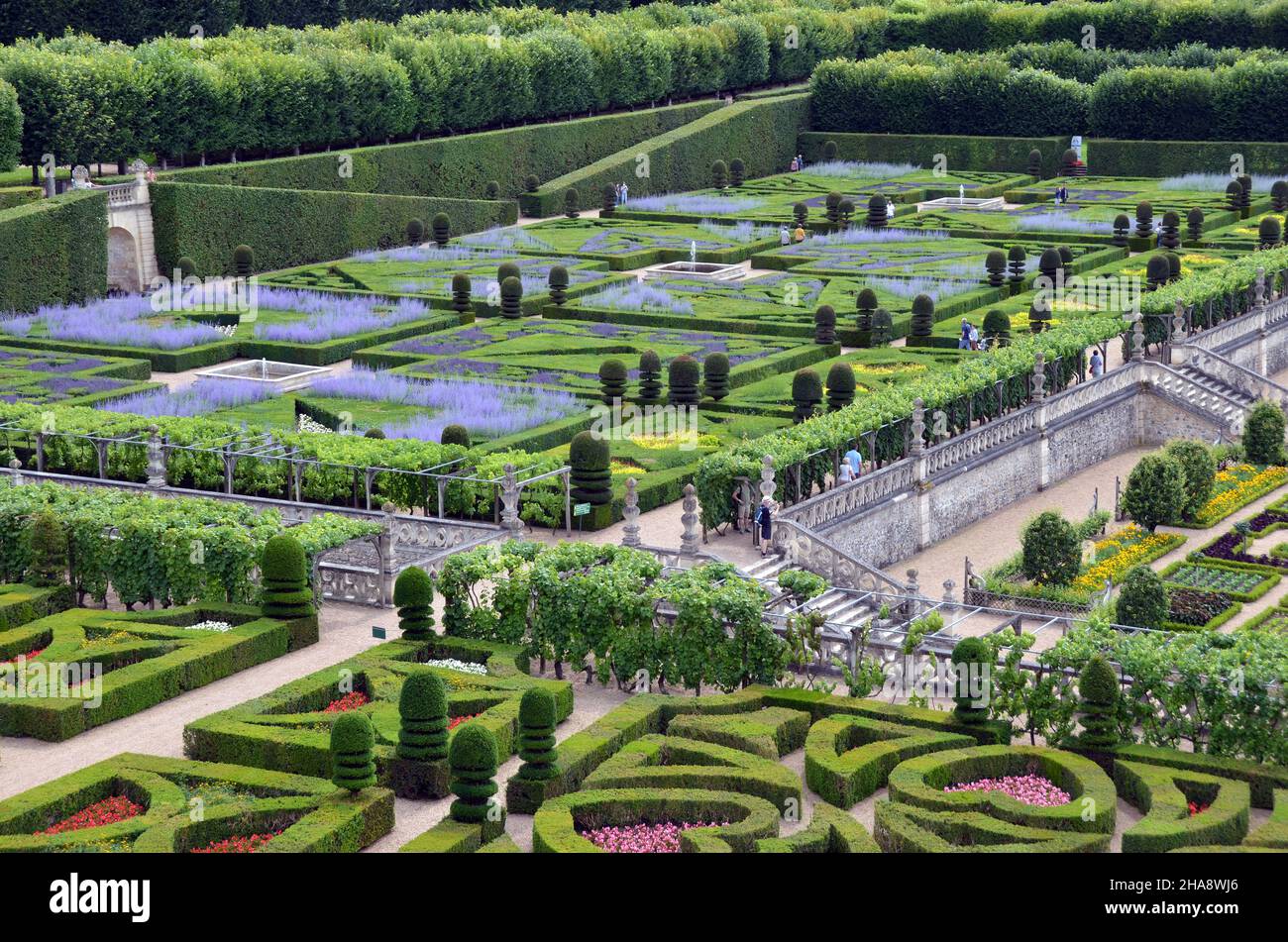 I giardini del castello di Villandry nella valle della Loira, Francia, sono un capolavoro. Foto Stock