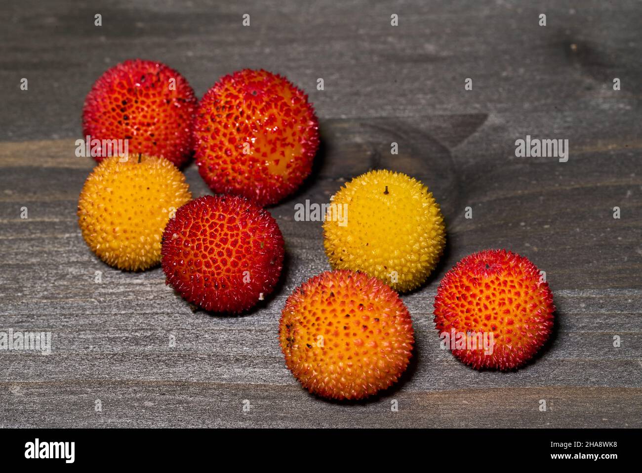 Frutti rossi e gialli maturi dell'Arbutus unedo alla fine dell'autunno Foto  stock - Alamy