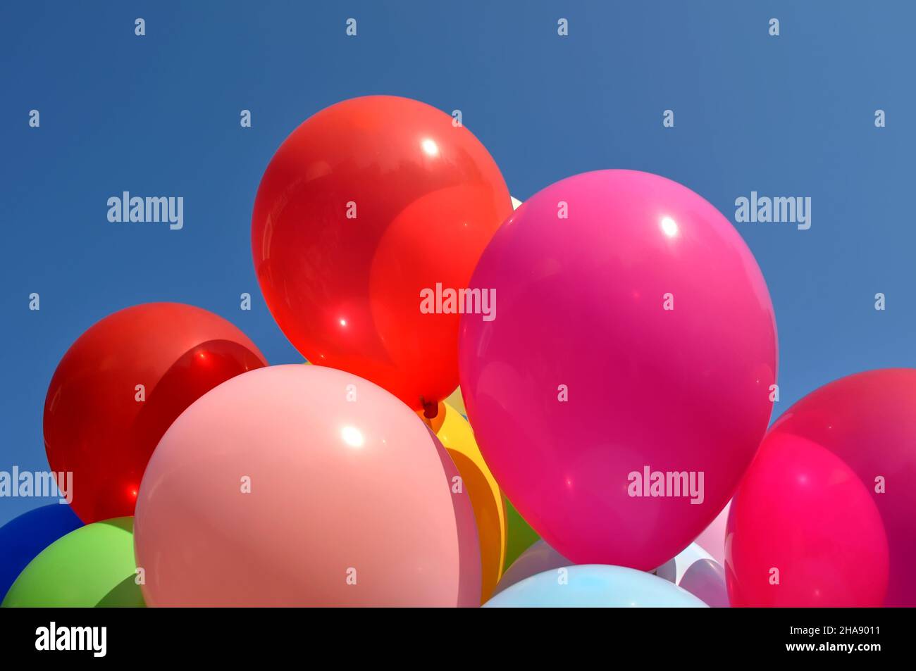 mazzo di palloncini multicolore nel festival della città su sfondo cielo blu chiaro Foto Stock