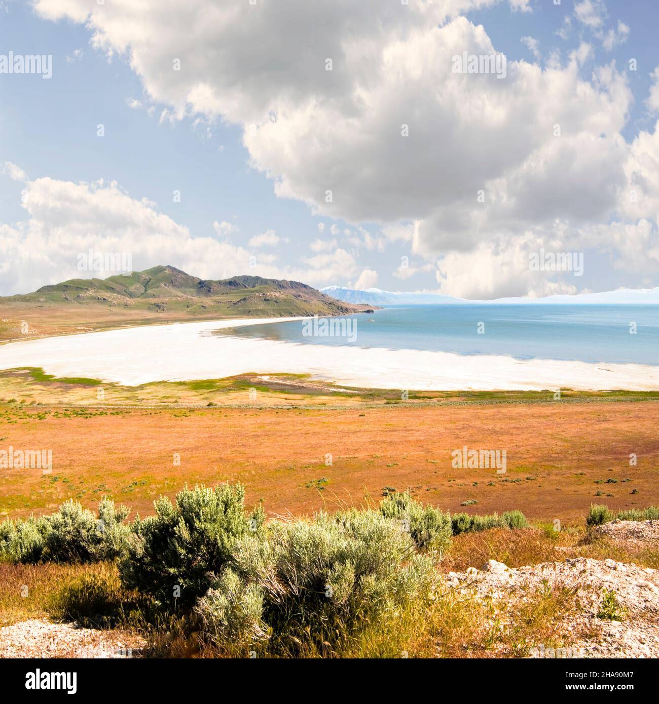 Antelope Island e Wasatch Mountains Great Salt Lake Utah USA Foto Stock