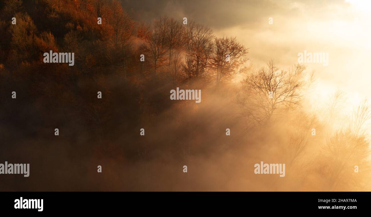 Meraviglioso paesaggio di montagna autunno. Lunghe ombre nella nebbia dagli alberi. Foresta autunno giallo su montagne secche. Vista drone. Foto Stock