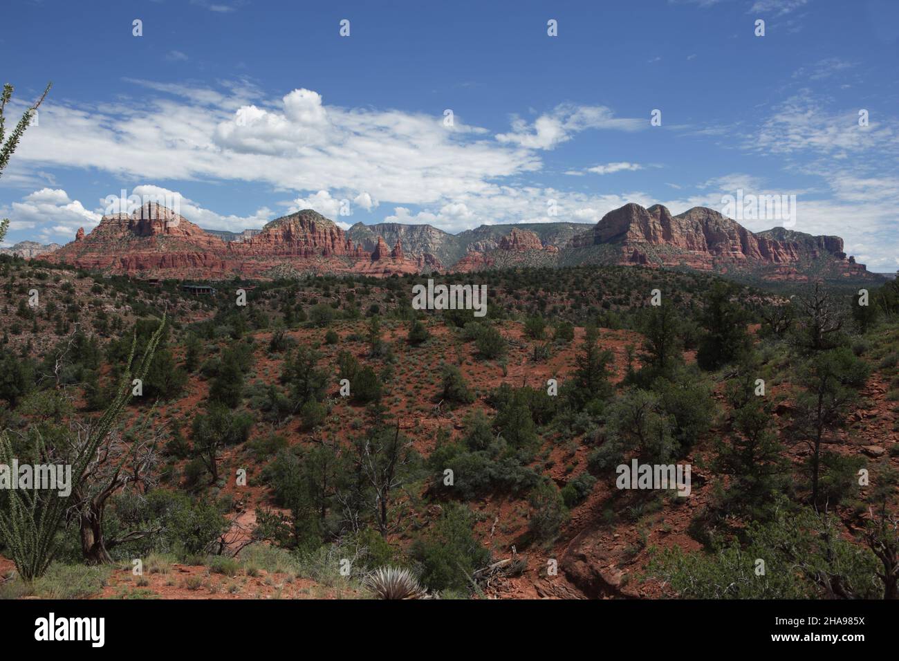 Vista di Chicken Point Red Sandstone buttes, guglie e pinnacoli a Sedona, Arizona. Foto Stock