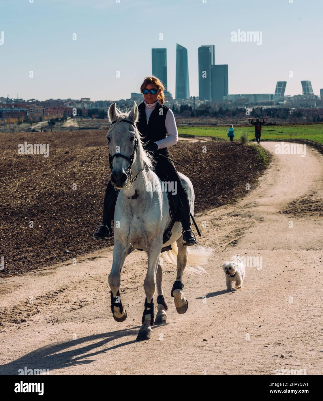 Donna a cavallo bianco con Cuatro Torres quartiere finanziario sullo sfondo, Madrid, Spagna Foto Stock