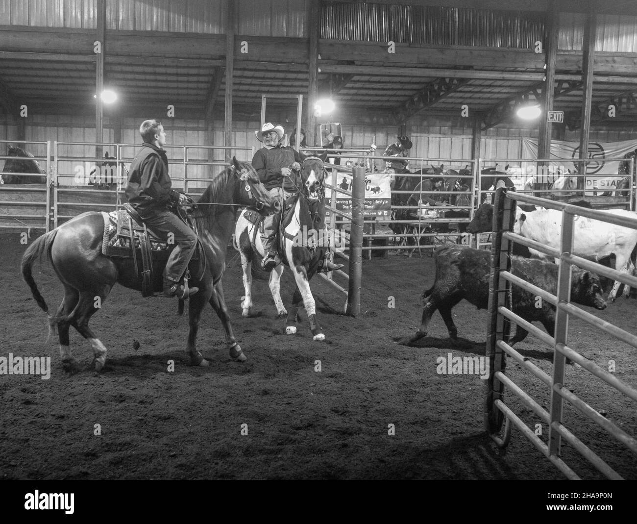 Waterford Works, New Jersey, USA. 10th Dic 2021. GAVIN DEFABRITES, 13 di Acto, NJ e MISTA MORRIS, di Cascades, corsa NC durante i campionati nazionali di selezione ranch del New Jersey a Summer Jade Stables in Water Works, New Jersey. Morris e Gavin hanno conquistato il primo posto nella competizione di classe 6 e si aspettano di viaggiare a Fort Worth in Texas per il Campionato Nazionale Defarbrites si ferma al terzo posto assoluto nello stato e Morris si trova al 6th posto nello stato. (Credit Image: © Brian Branch Price/ZUMA Press Wire) Foto Stock