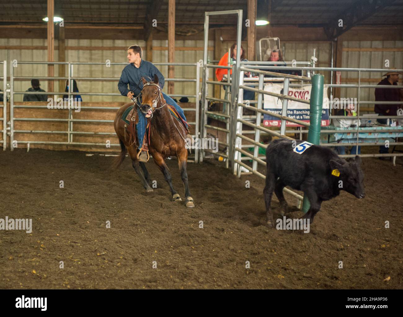 Waterford Works, New Jersey, USA. 10th Dic 2021. GAVIN DEFABRITES, 13 di Acto, NJ, corre durante il ranch di selezione nazionale campionati del New Jersey a Summer Jade Stables in Water Works, New Jersey. Morris e Defabrites hanno conquistato il primo posto nella competizione di classe 6 e si sono piazzati nel 3rd sopra tutto in New Jersey e si aspetta di viaggiare a Fort Worth Texas per il Campionato Nazionale nel giugno del 2022. (Credit Image: © Brian Branch Price/ZUMA Press Wire) Foto Stock
