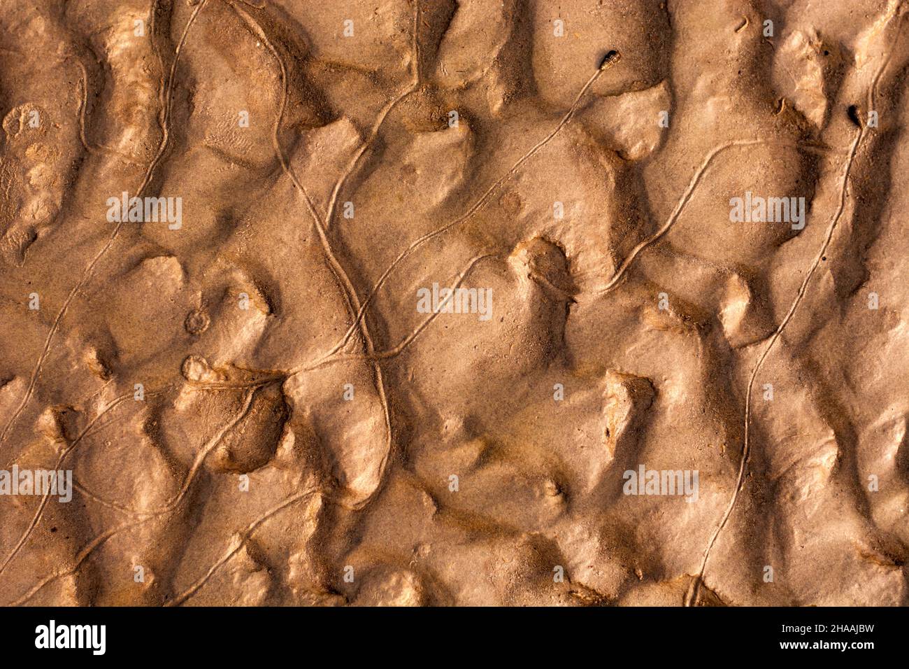 Onde di sabbia in una spiaggia vuota Foto Stock