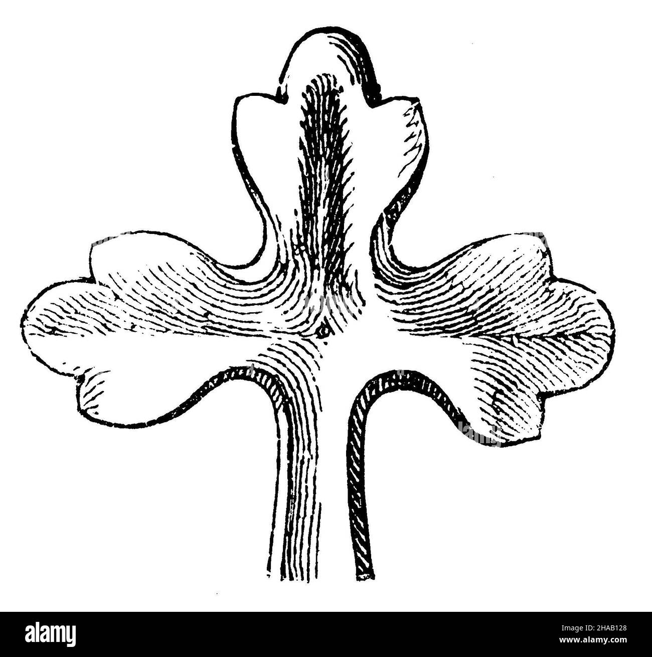 Croce fiore: Ornamento floreale di pietra naturale su edifici gotici o neogotici, , (storia architettonica Foto Stock