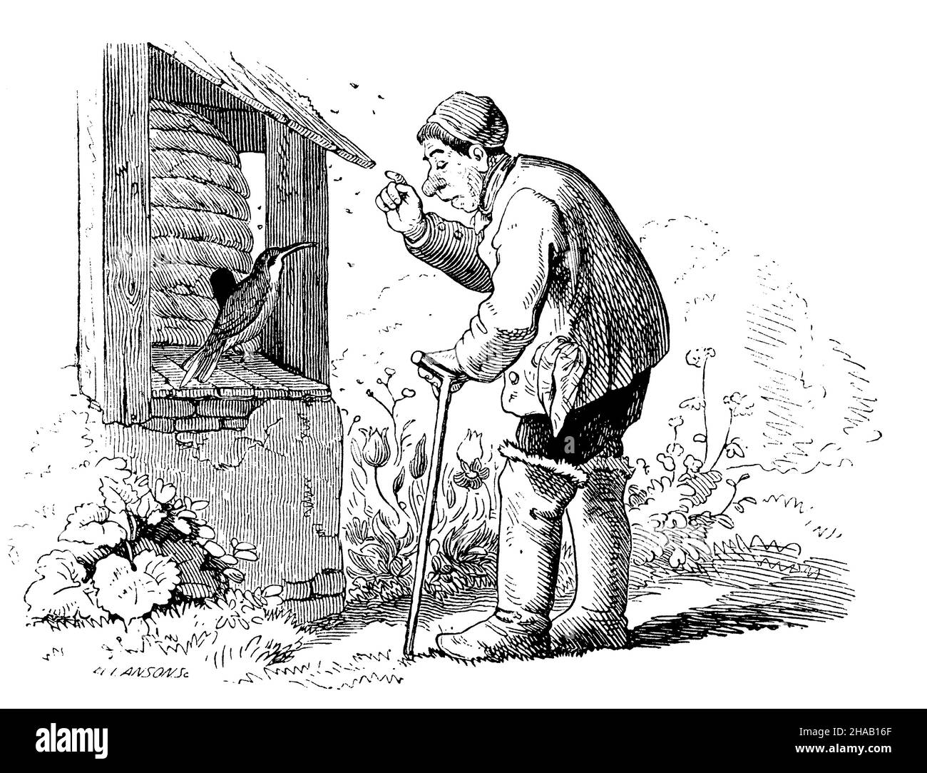 L'uomo anziano spaventa un uccello dall'alveare, , Ludwig Richter (libro di foto, 1929), Alter Mann verscheucht einen Vogel vom Bienenkorb Foto Stock L'uomo anziano spaventa un uccello dall'alveare, , Ludwig Richter (libro di foto, 1929), Alter Mann verscheucht einen Vogel vom Bienenkorb Foto Stock