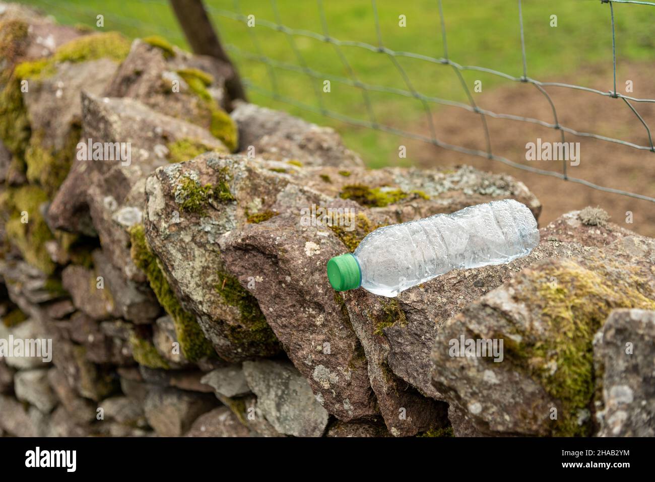 svuotare la bottiglia dell'acqua scartata su una parete di pietra asciutta, problema ambientale Foto Stock