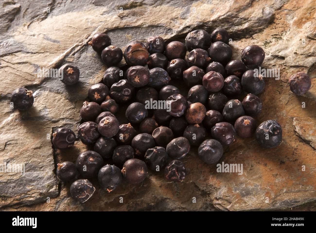 Juniper perda dall'alto sulla superficie di pietra Foto Stock