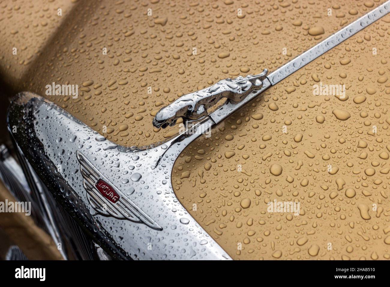 Jaguar 420G. Auto classica e Performance Spectacular 2021. Foto Stock