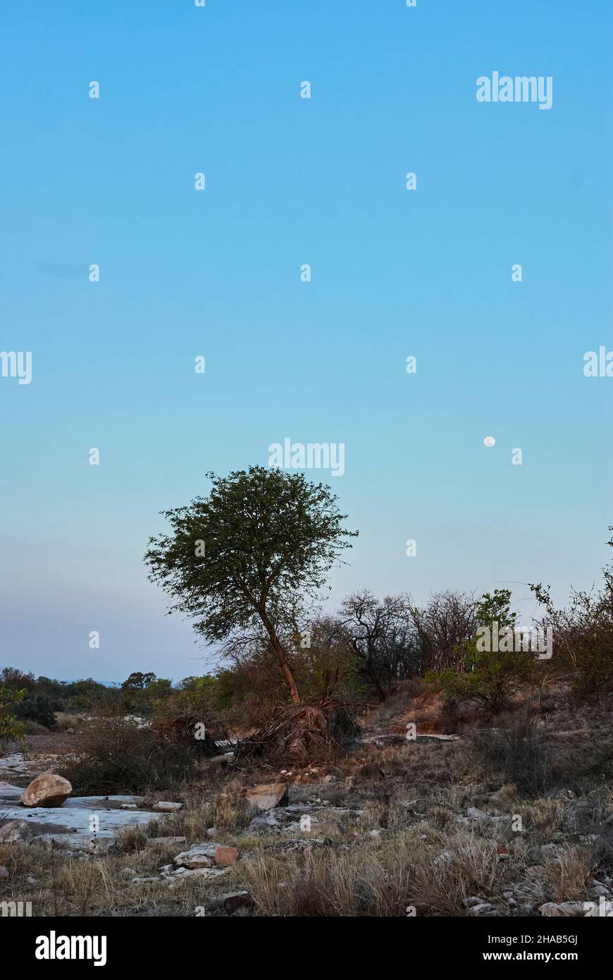 Romantico paesaggio africano arido e secco di rocce arenaria affilate in luce dorata durante il tramonto Foto Stock