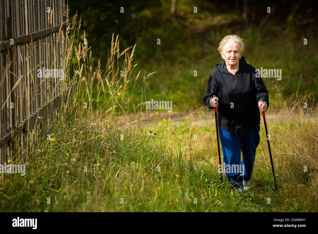 Una donna anziana cammina con i bastoni, praticando il nordic walking in campagna. Foto Stock