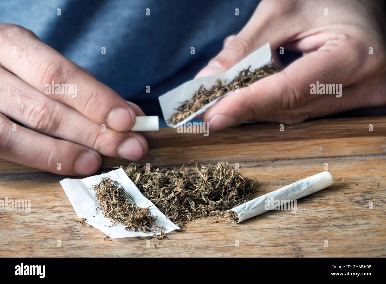 Sfuso tabacco arrotolabile con le mani di un uomo che arrotola una sigaretta sullo sfondo Foto Stock