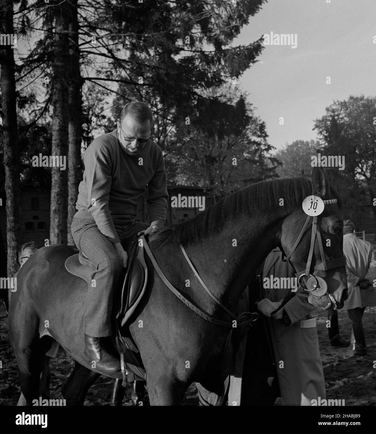 Starogard Gdañski, 1969-10-29. W dniach 28 i 29 paŸdziernika w Pañstwowym Stadzie Ogierów (PSO) Starogard odby³a siê sprzeda¿ aukcyjna koni. W pierwszym dniu aukcji prezentacji koni prznacych na sprzeda¿ towarzyszy³y pokazy zabytkowych powozów oraz jeŸdŸców z RÓ¿nych epok historycznych. W drugim dniu zorganizowano bieg myœliwski, tak zwan¹ pogoñ za lisem, w której uczestniczy³o ponad 40 jeŸdŸców; reszta goœci obserwowa³a bieg z powozów. Ad PAP/Janusz Uklejewski Starogard Gdanski, 29 ottobre 1969. Il 28 e 29 ottobre 1969 si tenne un'asta di stallone presso lo Stallion Stud di S. Foto Stock