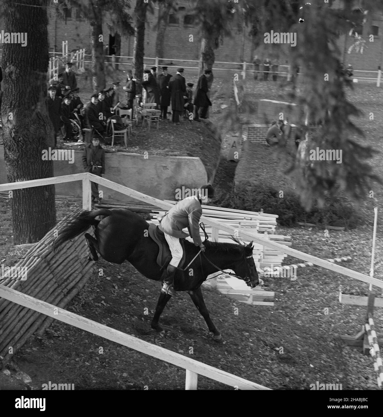 Starogard Gdañski, 1969-10-29. W dniach 28 i 29 paŸdziernika w Pañstwowym Stadzie Ogierów (PSO) Starogard odby³a siê sprzeda¿ aukcyjna koni. W pierwszym dniu aukcji prezentacji koni prznacych na sprzeda¿ towarzyszy³y pokazy zabytkowych powozów oraz jeŸdŸców z RÓ¿nych epok historycznych. W drugim dniu zorganizowano bieg myœliwski, tak zwan¹ pogoñ za lisem, w której uczestniczy³o ponad 40 jeŸdŸców; reszta goœci obserwowa³a bieg z powozów. Ad PAP/Janusz Uklejewski Starogard Gdanski, 29 ottobre 1969. L'asta presso lo Stallion Stud di Starogard tra il 28 e il 29 ottobre. Nel giorno 1st Foto Stock
