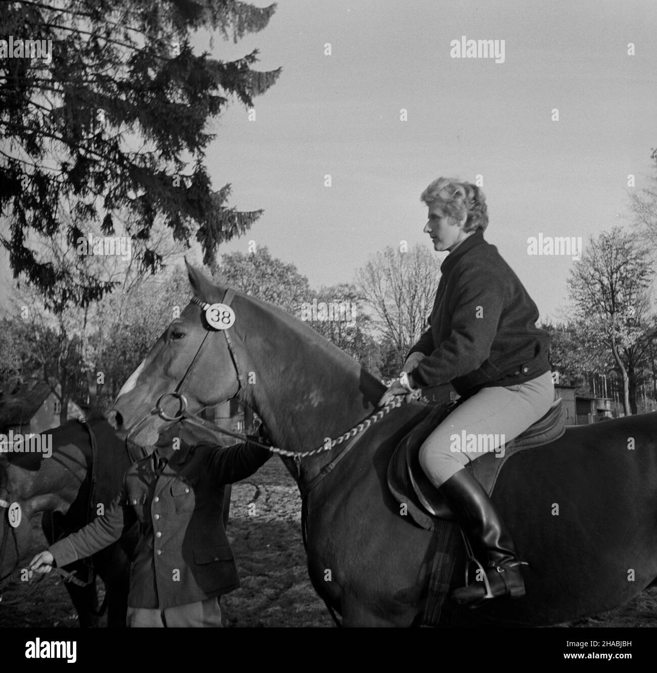 Starogard Gdañski, 1969-10-29. W dniach 28 i 29 paŸdziernika w Pañstwowym Stadzie Ogierów (PSO) Starogard odby³a siê sprzeda¿ aukcyjna koni. W pierwszym dniu aukcji prezentacji koni prznacych na sprzeda¿ towarzyszy³y pokazy zabytkowych powozów oraz jeŸdŸców z RÓ¿nych epok historycznych. W drugim dniu zorganizowano bieg myœliwski, tak zwan¹ pogoñ za lisem, w której uczestniczy³o ponad 40 jeŸdŸców; reszta goœci obserwowa³a bieg z powozów. Ad PAP/Janusz Uklejewski Starogard Gdanski, 29 ottobre 1969. Il 28 e 29 ottobre 1969 si tenne un'asta di stallone presso lo Stallion Stud in Foto Stock