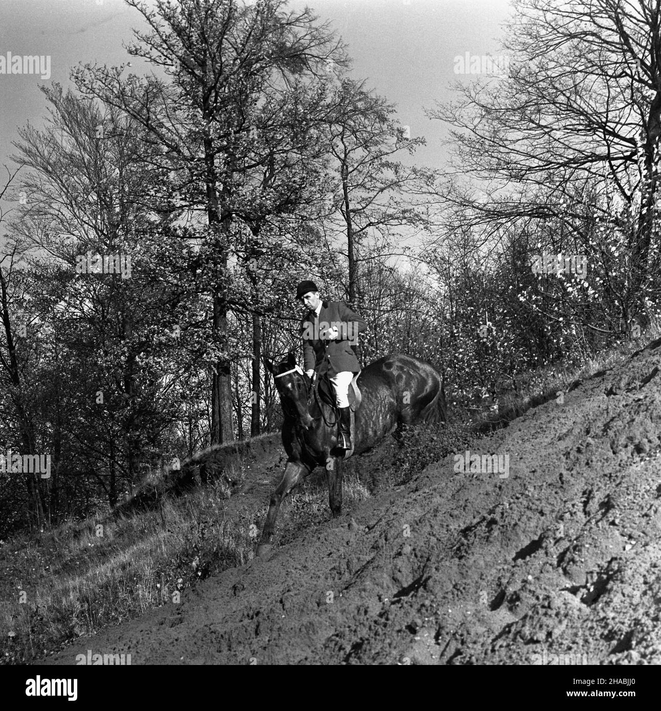 Starogard Gdañski, 1969-10-29. W dniach 28 i 29 paŸdziernika w Pañstwowym Stadzie Ogierów (PSO) Starogard odby³a siê sprzeda¿ aukcyjna koni. W pierwszym dniu aukcji prezentacji koni prznacych na sprzeda¿ towarzyszy³y pokazy zabytkowych powozów oraz jeŸdŸców z RÓ¿nych epok historycznych. W drugim dniu zorganizowano bieg myœliwski, tak zwan¹ pogoñ za lisem, w której uczestniczy³o ponad 40 jeŸdŸców; reszta goœci obserwowa³a bieg z powozów. Ad PAP/Janusz Uklejewski Starogard Gdanski, 29 ottobre 1969. Il 28 e 29 ottobre 1969 si tenne un'asta di stallone presso lo Stallion Stud in Foto Stock