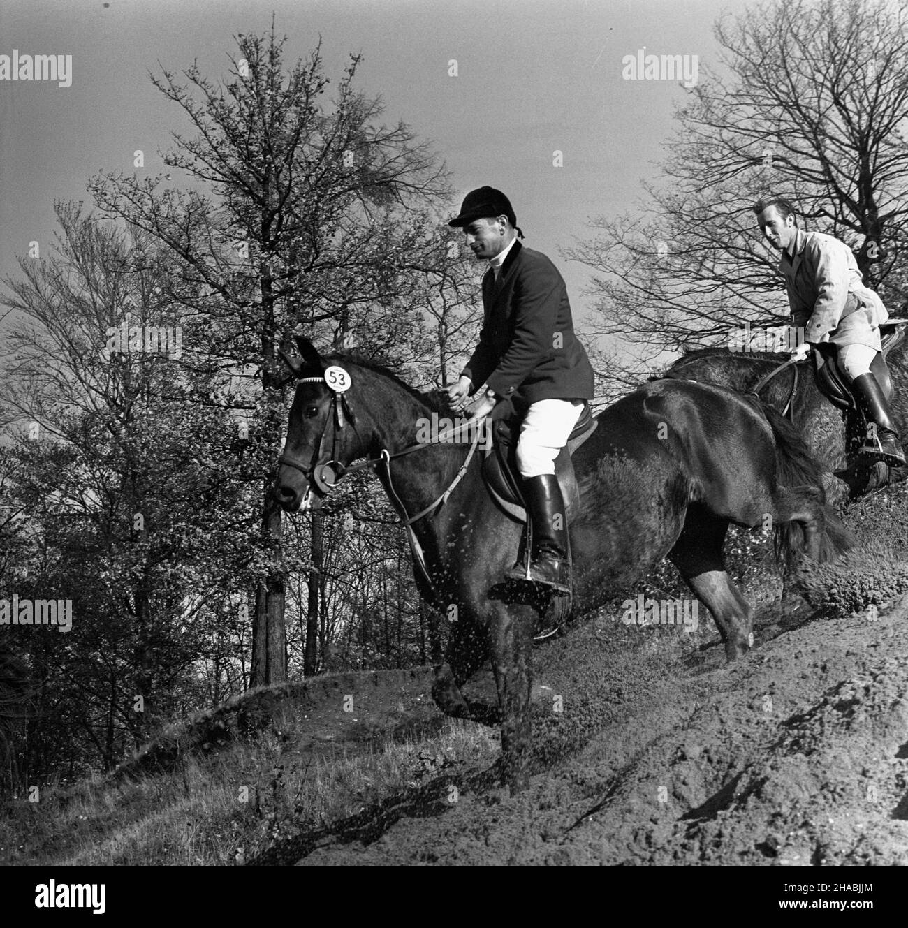 Starogard Gdañski, 1969-10-29. W dniach 28 i 29 paŸdziernika w Pañstwowym Stadzie Ogierów (PSO) Starogard odby³a siê sprzeda¿ aukcyjna koni. W pierwszym dniu aukcji prezentacji koni prznacych na sprzeda¿ towarzyszy³y pokazy zabytkowych powozów oraz jeŸdŸców z RÓ¿nych epok historycznych. W drugim dniu zorganizowano bieg myœliwski, tak zwan¹ pogoñ za lisem, w której uczestniczy³o ponad 40 jeŸdŸców; reszta goœci obserwowa³a bieg z powozów. Ad PAP/Janusz Uklejewski Starogard Gdanski, 29 ottobre 1969. Il 28 e 29 ottobre 1969 si tenne un'asta di stallone presso lo Stallion Stud di S. Foto Stock