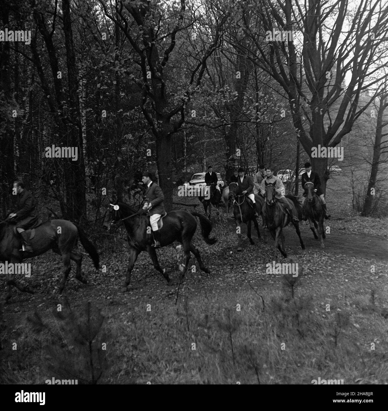 Starogard Gdañski, 1969-10-29. W dniach 28 i 29 paŸdziernika w Pañstwowym Stadzie Ogierów (PSO) Starogard odby³a siê sprzeda¿ aukcyjna koni. W pierwszym dniu aukcji prezentacji koni prznacych na sprzeda¿ towarzyszy³y pokazy zabytkowych powozów oraz jeŸdŸców z RÓ¿nych epok historycznych. W drugim dniu zorganizowano bieg myœliwski, tak zwan¹ pogoñ za lisem, w której uczestniczy³o ponad 40 jeŸdŸców; reszta goœci obserwowa³a bieg z powozów. Ad PAP/Janusz Uklejewski Starogard Gdanski, 29 ottobre 1969. Il 28 e 29 ottobre 1969 si tenne un'asta di stallone presso lo Stallion Stud di S. Foto Stock