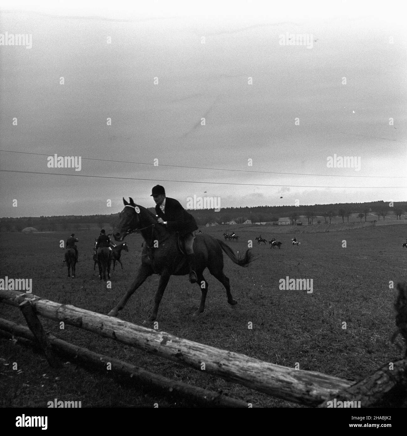 Starogard Gdañski, 1969-10-29. W dniach 28 i 29 paŸdziernika w Pañstwowym Stadzie Ogierów (PSO) Starogard odby³a siê sprzeda¿ aukcyjna koni. W pierwszym dniu aukcji prezentacji koni prznacych na sprzeda¿ towarzyszy³y pokazy zabytkowych powozów oraz jeŸdŸców z RÓ¿nych epok historycznych. W drugim dniu zorganizowano bieg myœliwski, tak zwan¹ pogoñ za lisem, w której uczestniczy³o ponad 40 jeŸdŸców; reszta goœci obserwowa³a bieg z powozów. Ad PAP/Janusz Uklejewski Starogard Gdanski, 29 ottobre 1969. Il 28 e 29 ottobre 1969 si tenne un'asta di stallone presso lo Stallion Stud in Foto Stock
