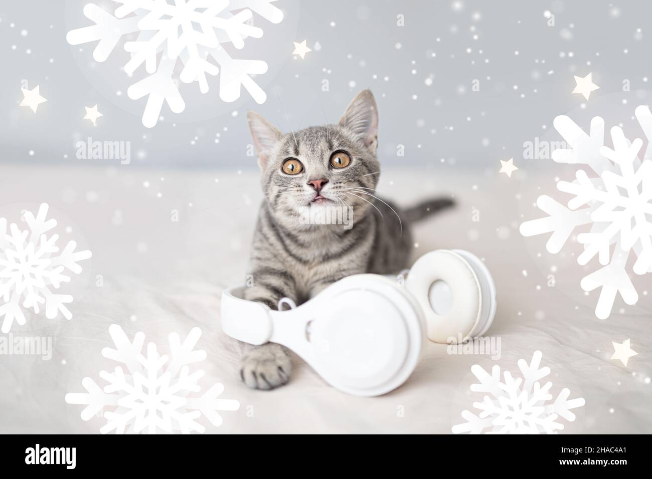 Bellissimo gattino da tavolo carino con cuffie wireless un regalo su coperta di maglia. Vacanze invernali. Foto Stock