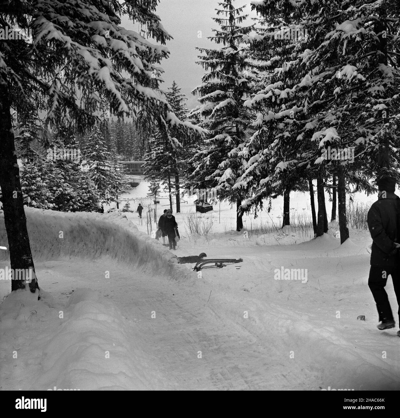 Zakopane, 1969-12-03. Od 2 XII 1969 r. kadra polskich saneczkarzy (seniorów i juniorów), pod kierunkiem Ryszarda Gurbowicza, trenowa³a na sztucznym torze, usypanym przez samych zawodników pod Krokwi¹. NZ. tor saneczkarski. pw PAP/Tadeusz Olszewski Zakopane, 3 dicembre 1969. Dal 2 dicembre 1969 le squadre di alunisti polacche, sia senior che junior, hanno fatto esercizi sotto la direzione di Ryszard Gurbowicz sulla pista di slittino artificiale realizzata dai concorrenti nei pressi del salto di Krokwia. Nella foto: La pista di slittino. pw PAP/Tadeusz Olszewski Foto Stock