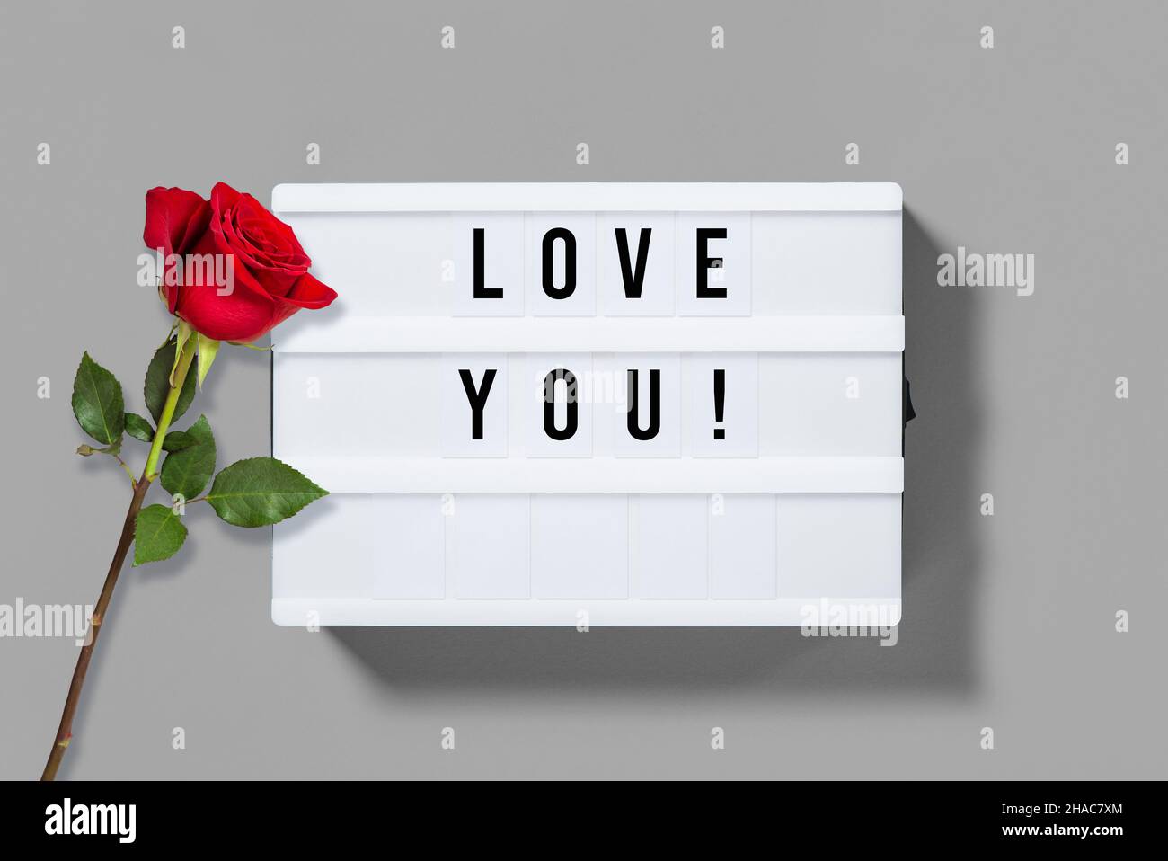 Ti amo! Scatola luminosa con lettere e decorazione con fiori di rosa rossa. Concetto di giorno di San Valentino Foto Stock