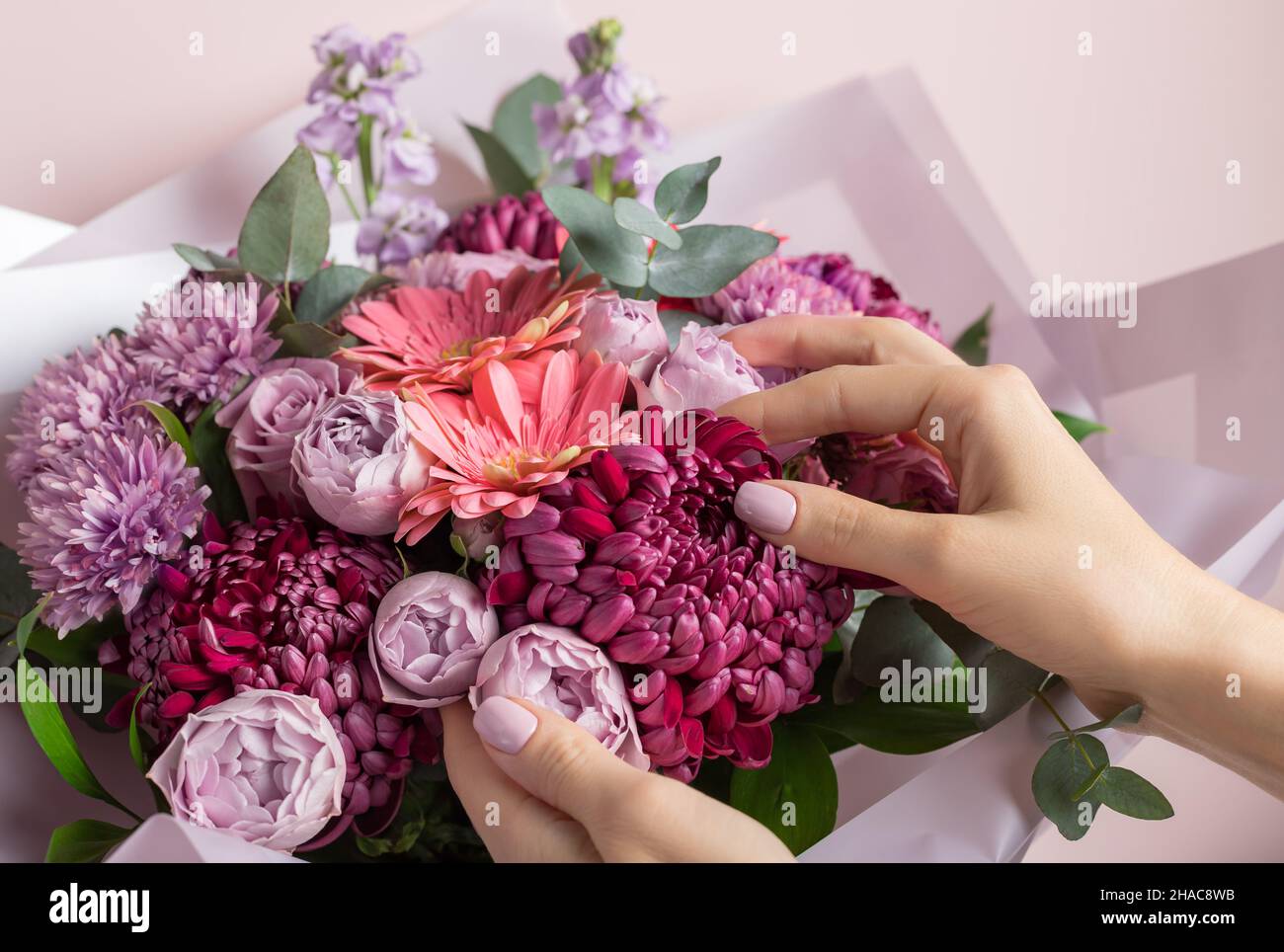 bel bouquet di crisantemi freschi, rose, gerbere con le mani femminili Foto Stock