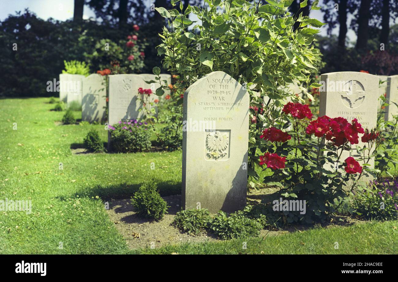 Holandia Arnhem 08,1975. Cmentarz wojenny Arnhem. Grób nieznanego ¿o³nierza z 1 Samodzielnej Brygady Spadochronowej poleg³ego w bitwie pod Arnhem. msa PAP/Lech Zielaskowski Dok³adny dzieñ wydarzenia nieustalony. Olanda Arnhem Agosto 1975. Il cimitero di guerra di Arnhem. La tomba di un soldato sconosciuto della brigata indipendente di 1st aerei uccisa nella battaglia nei pressi di Arnhem. msa PAP/Lech Zielaskowski evento data sconosciuta. Foto Stock