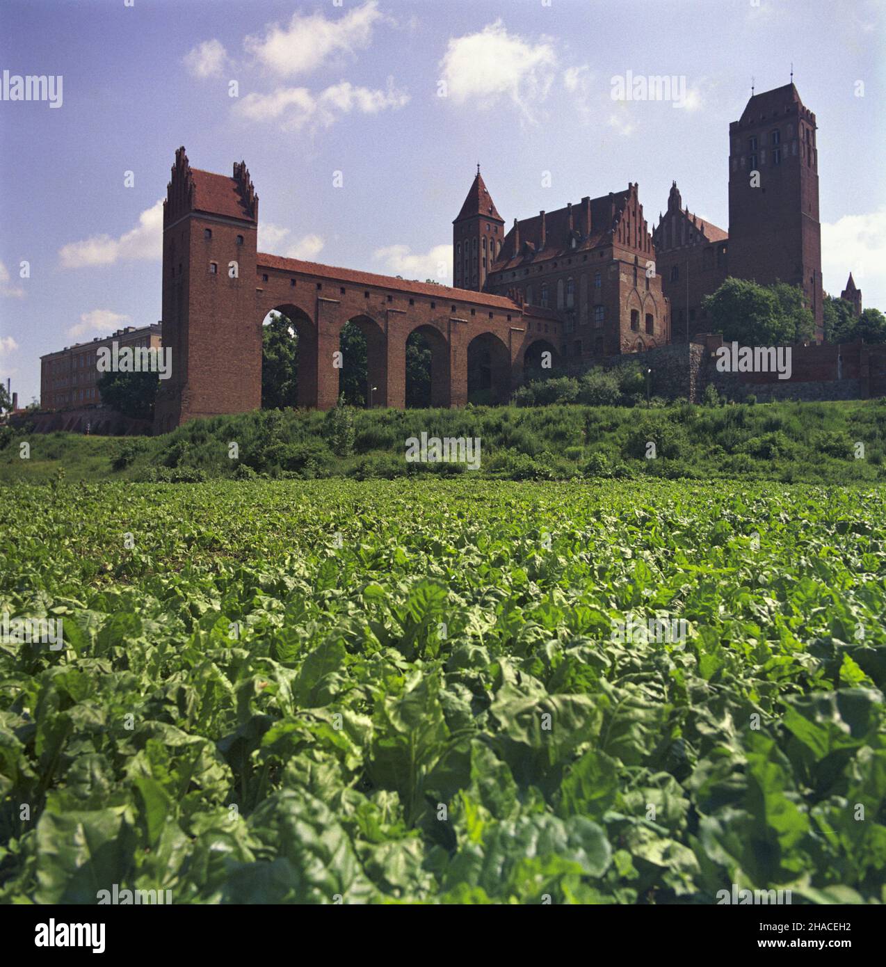 Kwidzyn 07,1982. Zamek kapitu³y pomezañskiej. msa PAP/Wojciech Kryñski Dok³adny dzieñ wydarzenia nieustalony. Kwidzyn, luglio 1982. Pomesanian Capitolo castello. msa PAP/Wojciech Krynski evento giorno sconosciuto Foto Stock