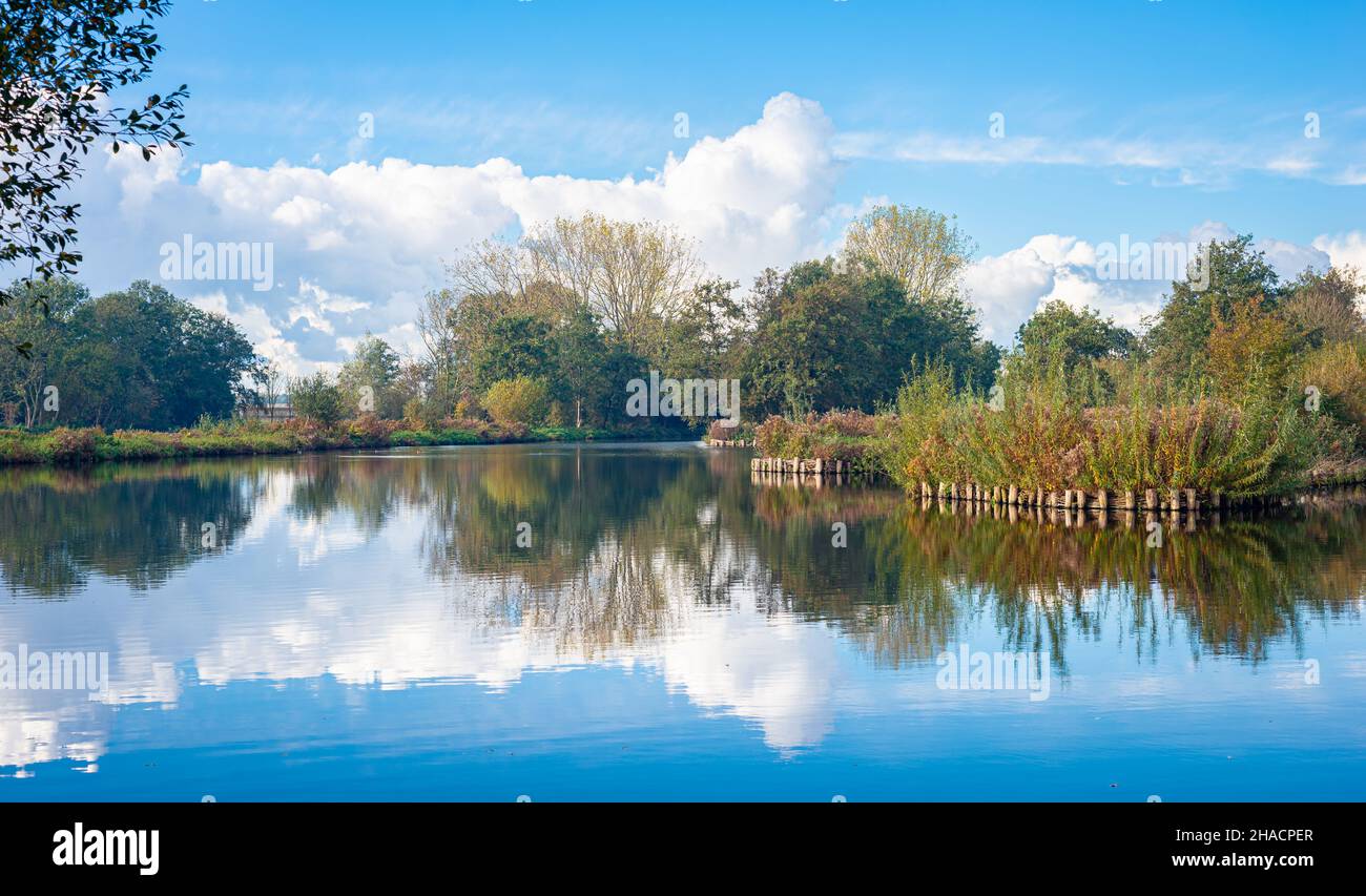 Vista idilliaca di un'area ricreativa nel cuore verde dell'Olanda Foto Stock