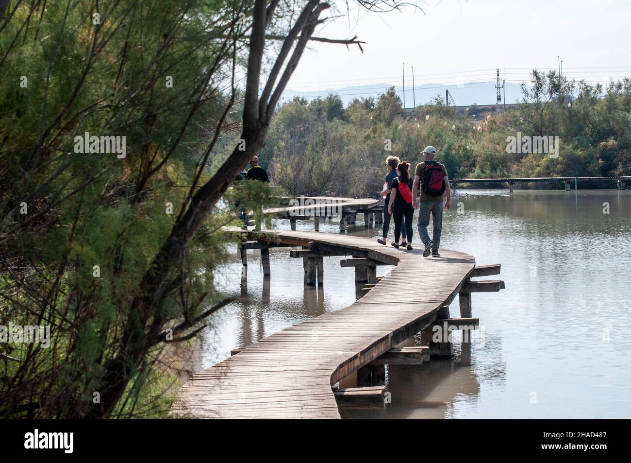 Israele, distretto settentrionale la riserva naturale di Ein Afek sul ponte di legno del fiume Naaman attraversa la palude Foto Stock