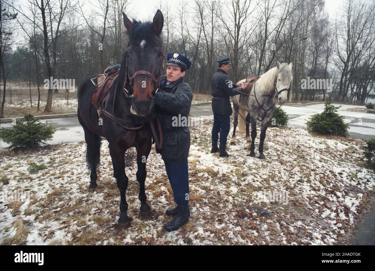 Borne Sulinowo 02,1994. W mieœcie od stycznia 1994 roku funkcjonariusze stra¿y miejskiej pe³ni¹ ca³odobowe dy¿ury. Pattuglia konny. msa PAP/Wojciech Szabelski Dok³adny dzieñ wydarzenia nieustalony. Borne Sulinowo, Polonia, febbraio 1994. Ufficiali della Guardia Citta' con i loro cavalli in pattuglia a Borne Sulinowo, Polonia nord-occidentale. La guardia cittadina di Borne Sulinowo effettua turni di ore a partire da gennaio 1994. PAP/WOJCIECH SZABELSKI Foto Stock