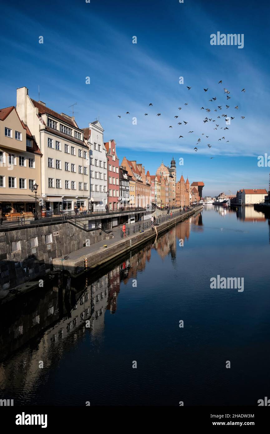 La città vecchia di Danzica in una tranquilla giornata autunnale di sole che si riflette nel fiume Motlawa e un gregge di uccelli che volano nel cielo blu Foto Stock