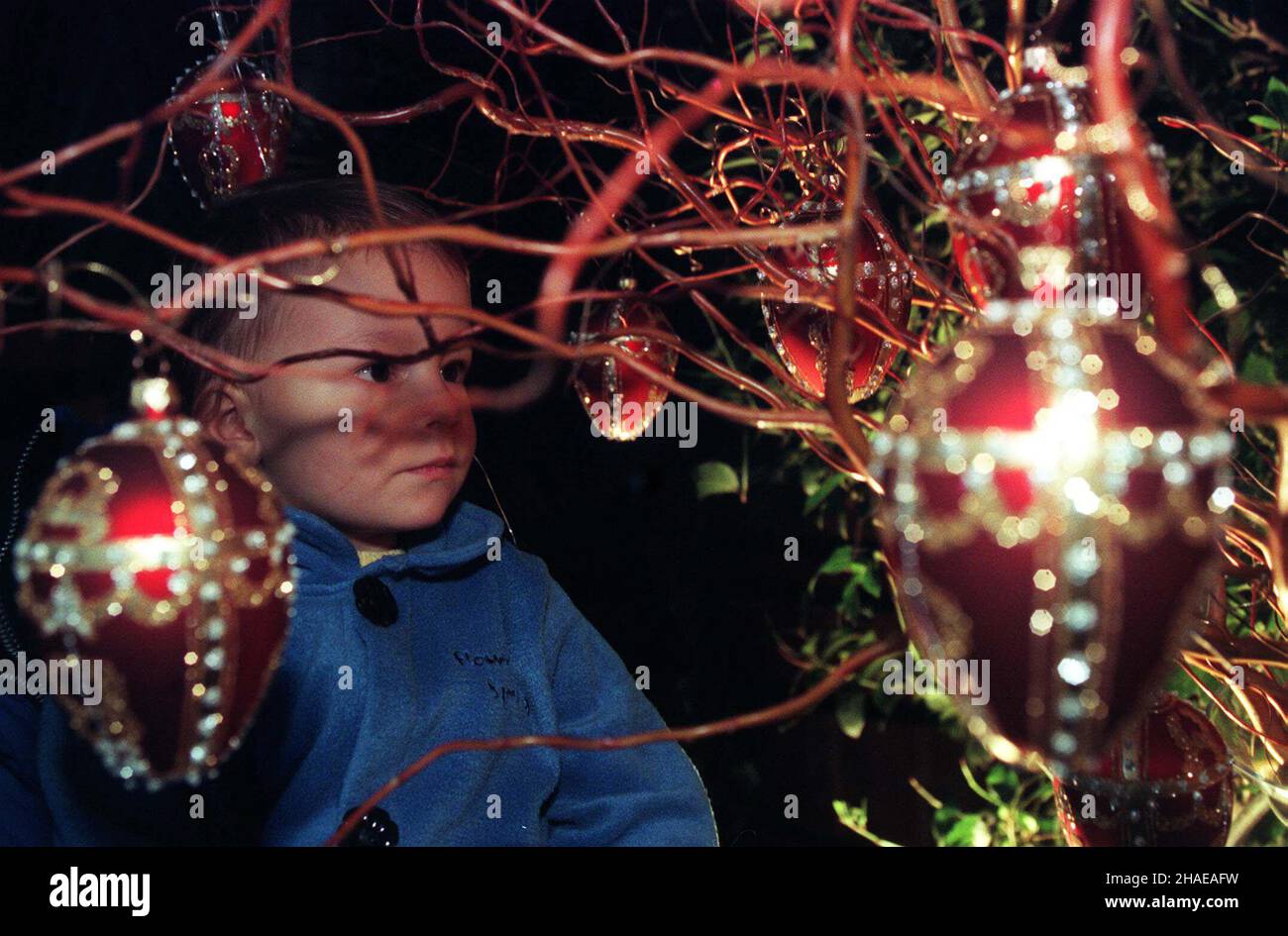 Warszawa, 28.11.1999. W Starej Pomarañczarni w £azienkach do 1 grudnia czynna jest wystawa œwi¹tecznych dekoracji i kompozycji z roœlin suszonych i sztucznych. Ka¿dy z 24 wystawców przekaza³ jedn¹ kompozycjê na aukcjê na rzecz Banku Dawców Szpiku Kostnego - fundacji Urszuli Jawarskiej. (sig.) PAP/Radek Pietruszka Varsavia, 28.11.1999. Mostra di ornamenti natalizi e composizioni floreali. 24 composizioni, una da ciascuno degli espositori sarà messo in un'asta per raccogliere denaro per i donatori di midollo osseo - Fondazione Urszula Jaworska. (sig.) PAP/Radek Pietruszka Foto Stock