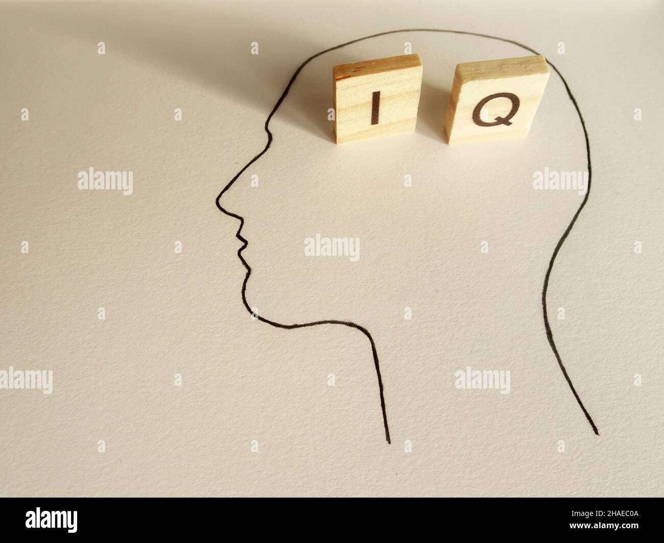 La silhouette della testa con lettere IQ e la sua ombra Foto Stock