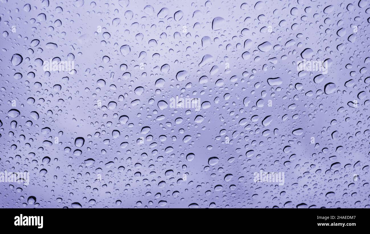 Colore dell'anno 2022 molto Peri. Parabrezza bagnato, preso dall'interno della macchina.la pioggia cade sulla superficie di una finestra di vetro della macchina con uno sfondo grigio Foto Stock