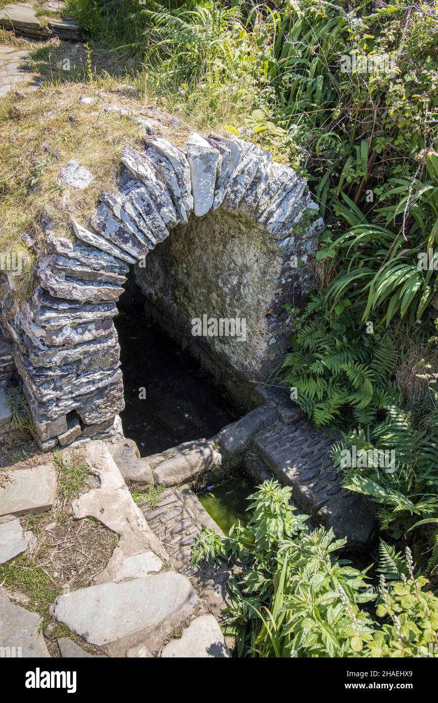 Holy Well, St non's Chapel, Pembrokeshire, Galles, Regno Unito Foto Stock
