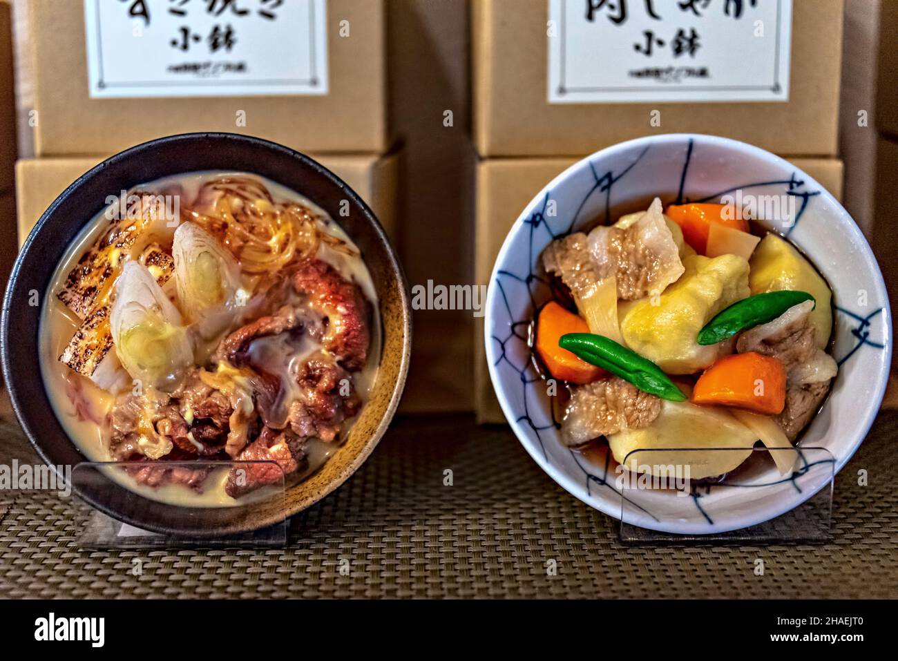 Sampuru, repliche alimentari in plastica in vendita in un negozio Kappabashi-dori, Asakusa, Tokyo. Foto Stock