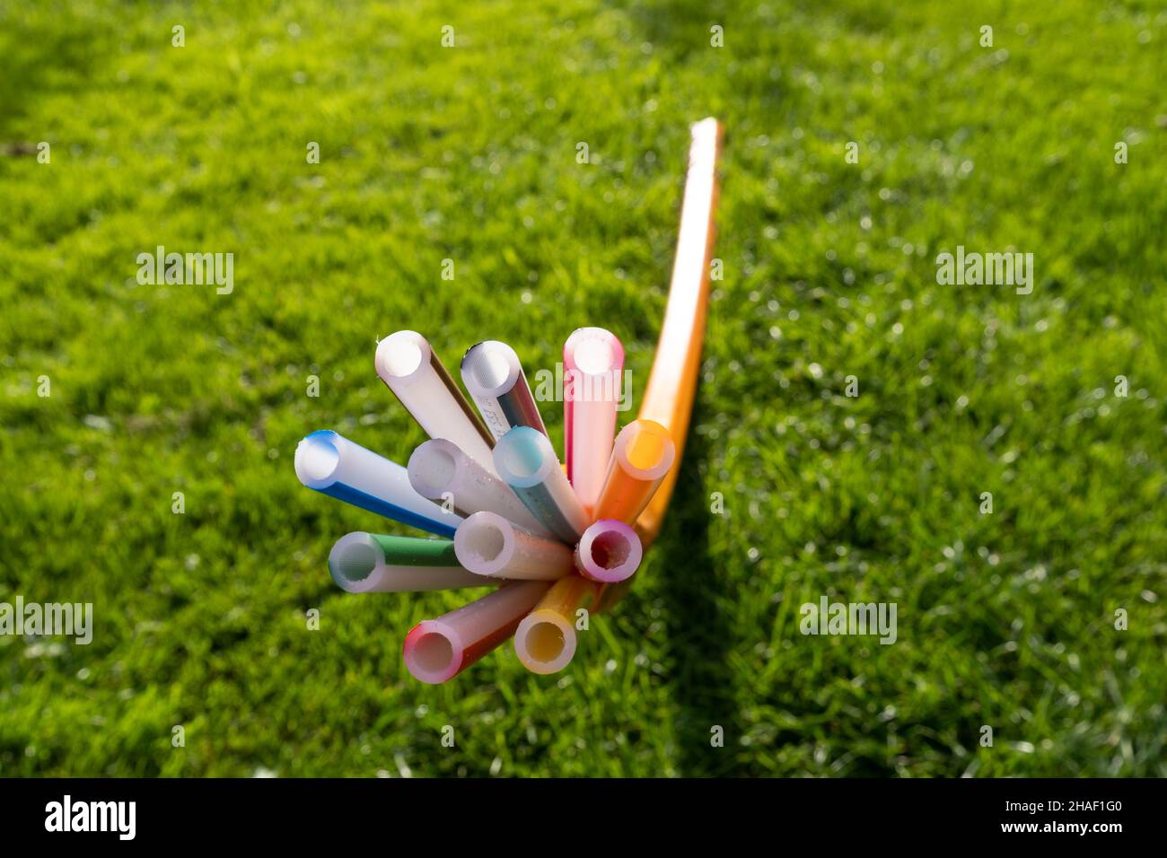 i tubi vuoti per i cavi in fibra ottica fuoriescono dal terreno su un prato Foto Stock