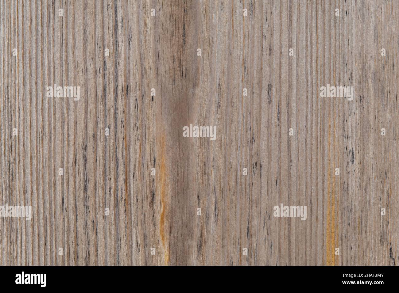 Legno marrone beige texture. Sfondo astratto per il disegno. Materiali naturali eco-compatibili. Struttura leggera in legno di quercia o pino. Composi orizzontali Foto Stock