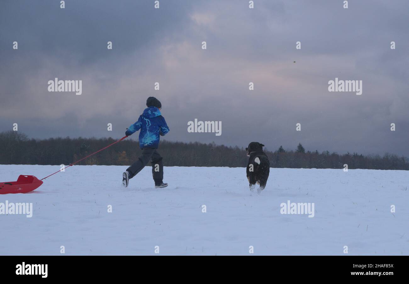 La famiglia prende il cane per una passeggiata nella prima neve dell'anno Foto Stock