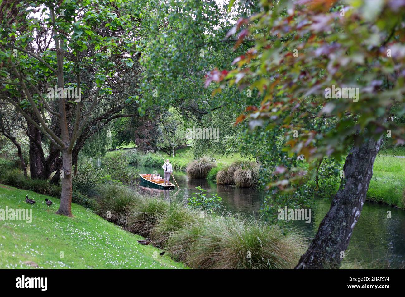 Barca di Punting lungo il fiume Foto Stock