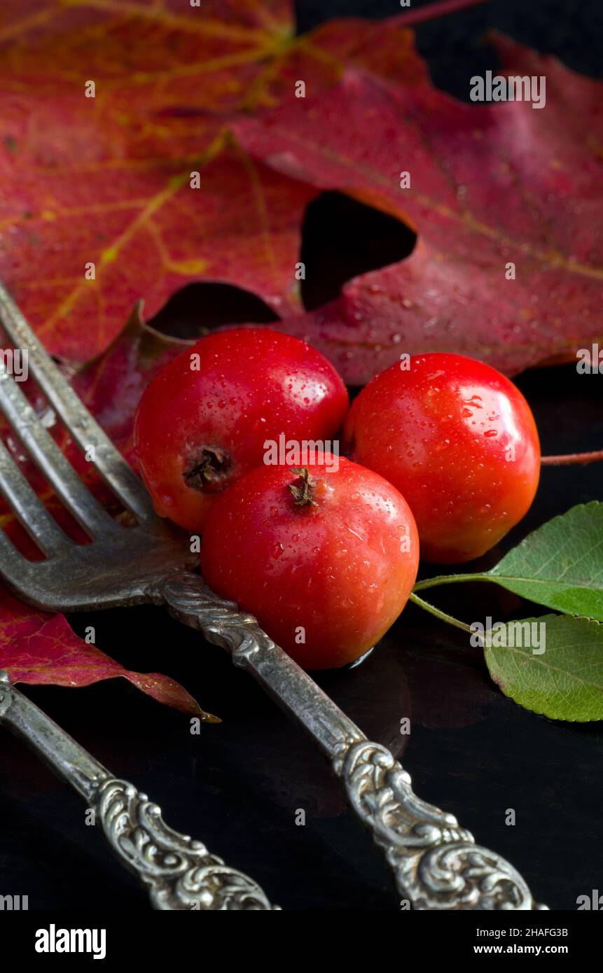 Foto macro della stagione autunnale di mele granchio rosse con foglie di acero su sfondo scuro verticale Foto Stock