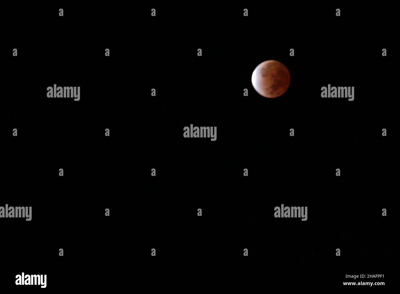 Eclipse lunare - 19 novembre 2021 / Eclipse Lunar - 19 de noviembre de 2021 Foto Stock