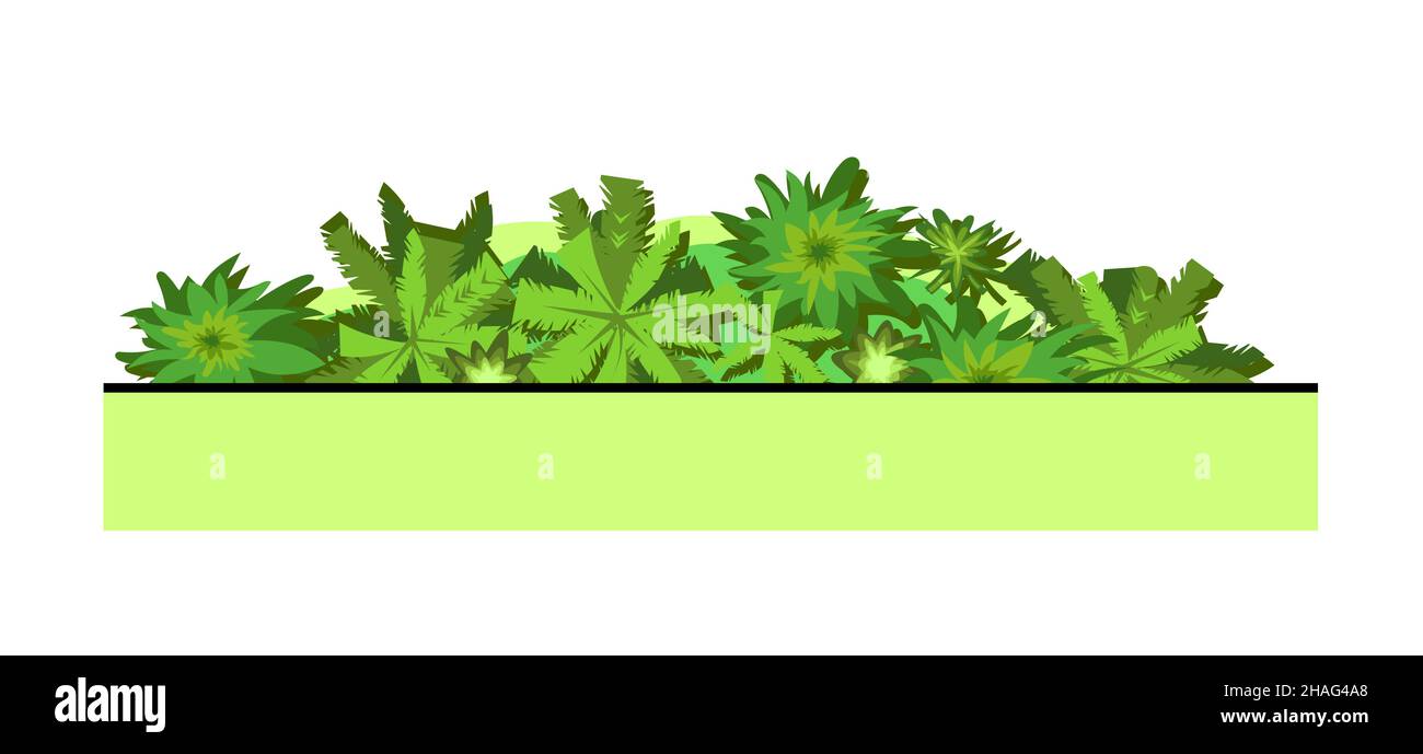 Il bordo della foresta. Alberi e arbusti. Vista dall'alto. Pianta paesaggio. Flora e fauna selvatiche. Palm. Vista dall'alto. Altezza. Illustrazione in stile cartone animato. ISO Illustrazione Vettoriale