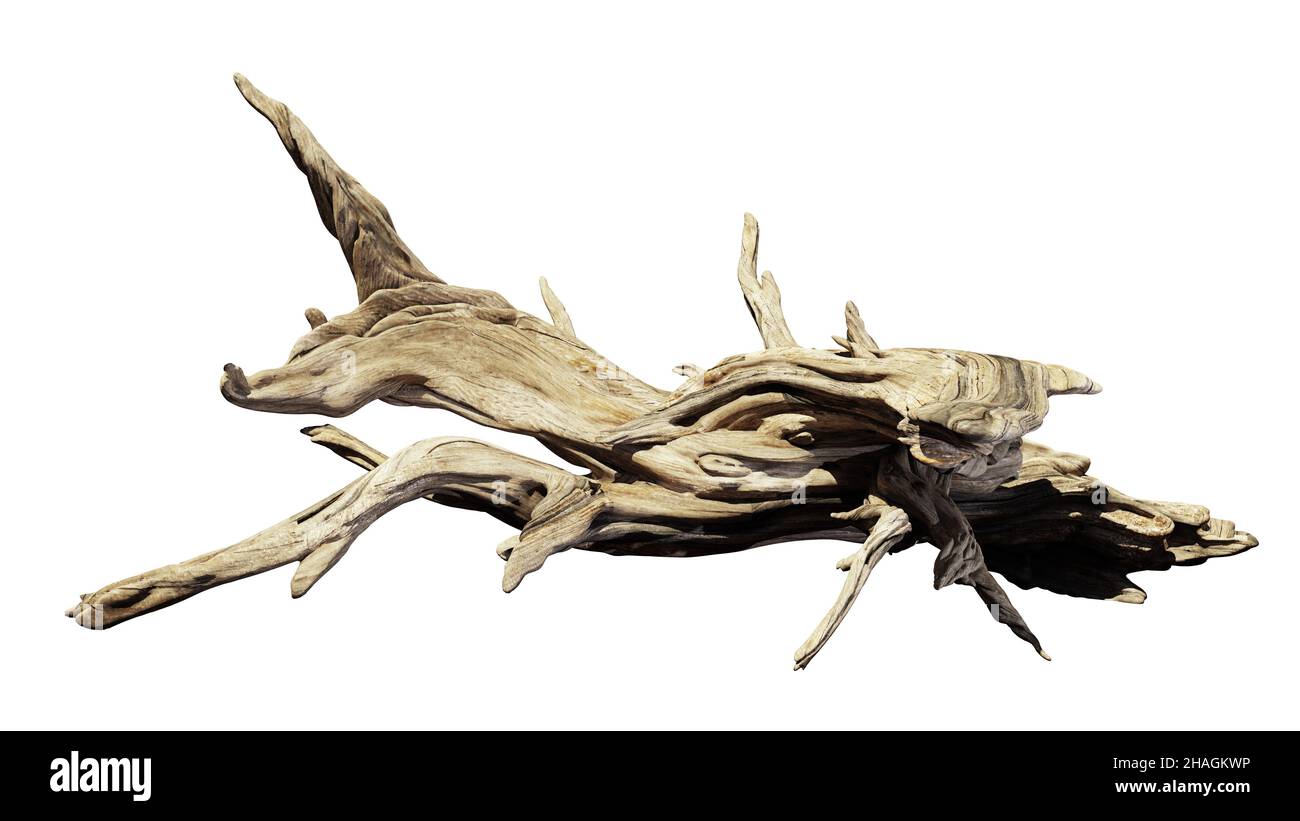 driftwood, vecchio ramo isolato su sfondo bianco Foto Stock